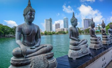 Best of Sri Lanka Tour