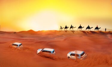 Dubai Desert Safari Day Trip